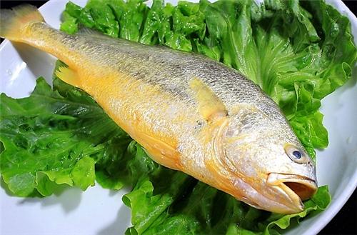 陆丰海产特产是什么鱼类 陆丰最出名的特产有哪些