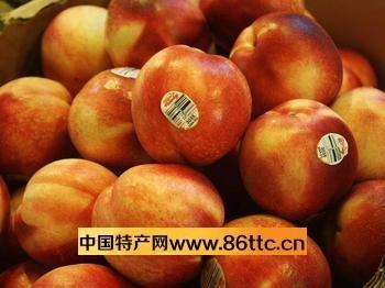 河南西华县特产水果是什么名字 河南西华县特产是什么