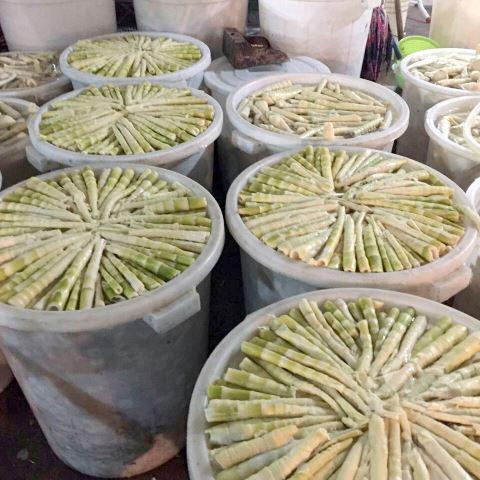 揭西特产用蒜做的菜是什么 揭西县本地好吃的美食