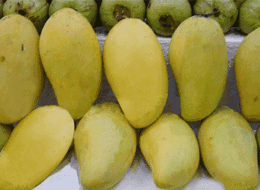 芒果梨是哪里特产 锦州的特产芒果梨