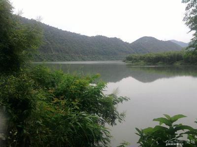 松江河特产到哪买 松江河镇有什么土特产