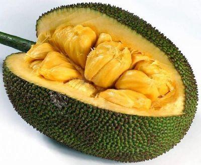 台湾菠萝特产有哪些 台湾特产水果排名
