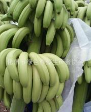 昆明特产香蕉做好吃美食有哪些 云南什么香蕉最好吃最便宜