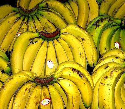 福建香蕉特产 福建本地香蕉图片
