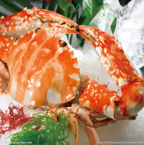 三门特产海鲜蟹 三门青蟹哪里最出名