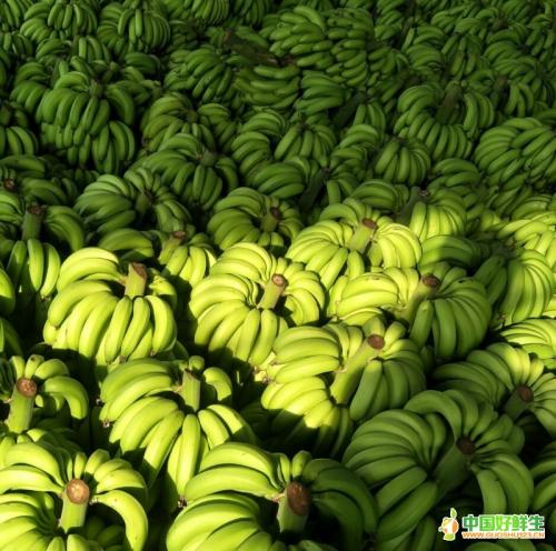 邢台特产香蕉图片 红色香蕉特产图片