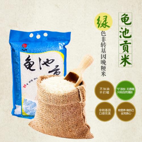 新宾旺清门贡米优质土特产 高峰特产苗家香贡米
