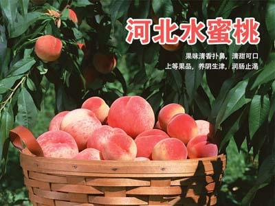 双流水蜜桃特产哪里可以买 四川龙泉水蜜桃一斤多少钱