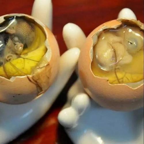臭鸡蛋哪的特产 臭鸡蛋是哪的特产