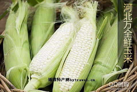 张家口地方特产莜麦是什么 河北张北县的莜麦用来做什么