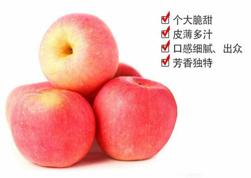王明寨村这个家乡的特产有苹果吗 范家寨苹果好吃吗