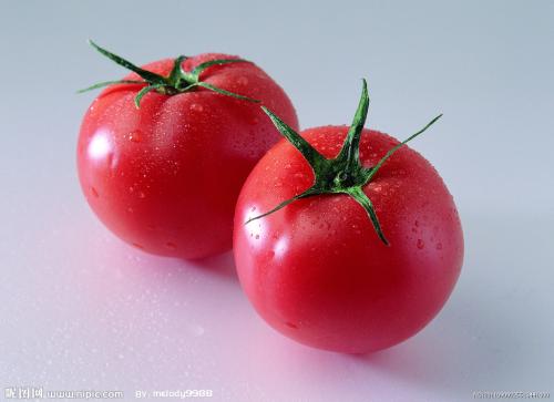 我们家的特产西红柿作文 我的家乡的西红柿作文