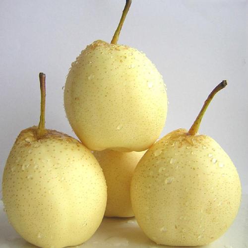 新疆特产梨怎么保存 新疆特产梨的价格