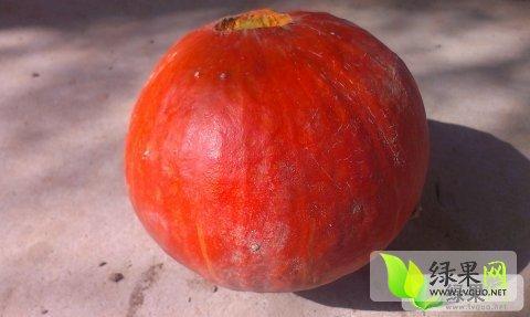 南瓜妹的特产是什么 香芋南瓜是哪里的特产