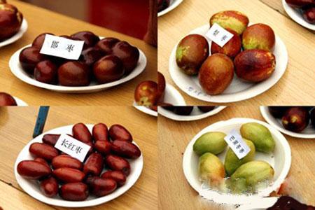 忻州特产蔬果有哪些品种 忻州最全土特产专营店
