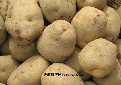 涿鹿县特产土豆 张家口特产土豆照片
