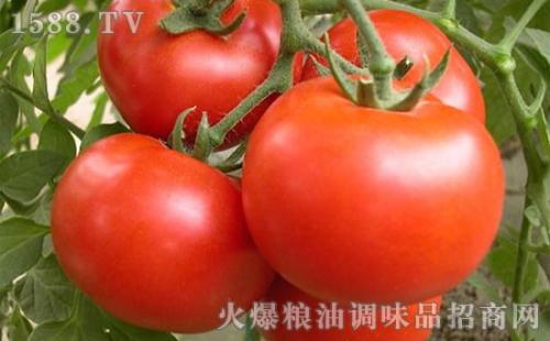 海丰县土特产西红柿 海丰特产 必买清单