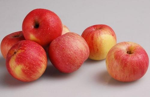 家乡特产红苹果熟了 家乡特产苹果有哪些