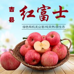 特产介绍之红富士苹果 正宗黄土高原红富士苹果