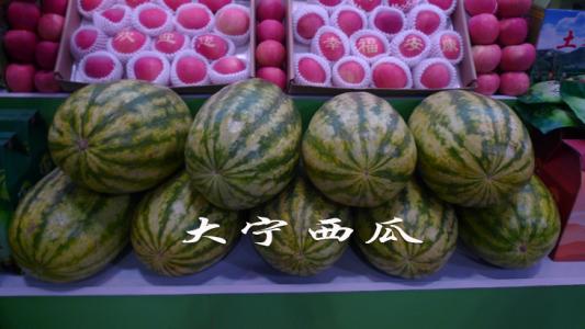 巫山县大宁湖土特产食品开发公司 巫山县红叶农副土特产品有限公司