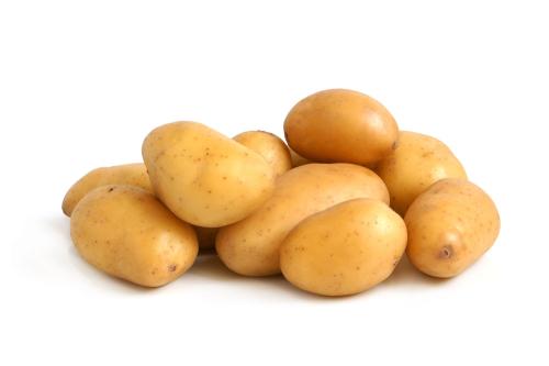 土豆特产内容概括 土豆是哪里的特产