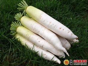 贵州特产大全地瓜萝卜怎么吃 贵州特色美食酸萝卜照片