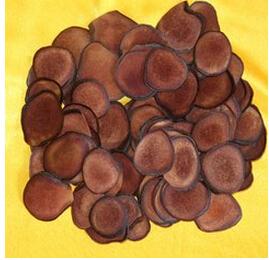 鹿茸菇的名贵特产 生鹿茸菇图片