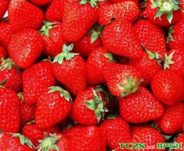 草莓干土特产 草莓干哪里产的最好吃