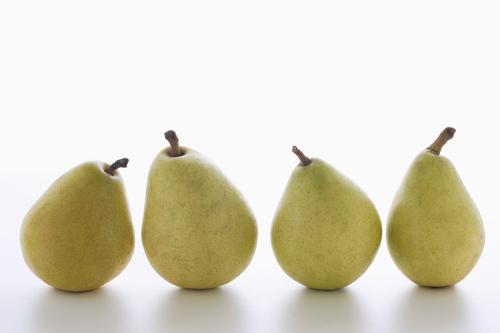 隰县特产天下第一梨 山西最好吃的梨是什么品种