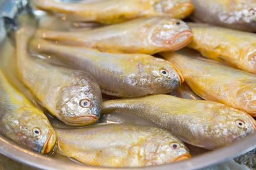 辽宁营口特产海鲜鱼 营口海鲜特产是什么