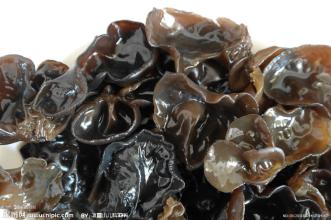 黑龙江家乡黑木耳特产 黑龙江哪里的黑木耳最便宜