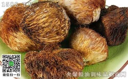 广东猴头菇特产介绍图片 猴头菇哪里的特产