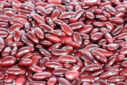 红芸豆为山西特产 颗粒硕大 山西杂粮主要有哪些红芸豆