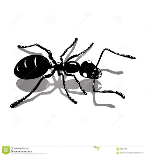 红蚂蚁的特产大家都知道 正宗红蚂蚁多少钱一斤