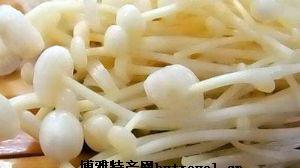 金针菇的特产和功效 金针菇的营养与功效