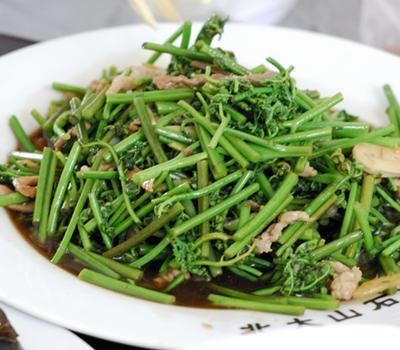 贵州特产蕨菜做法 贵州特产蕨菜要怎么炸吃