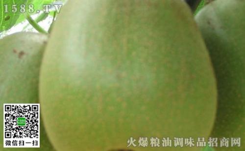 中国哪里特产猕猴桃 各个省份的猕猴桃