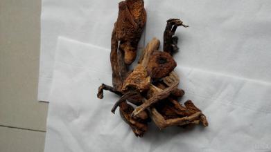 牡丹江有啥特产烟 黑龙江的特产烟多少钱