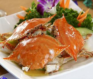 东海岛上能买到什么特产 东海岛哪里的海鲜最好吃