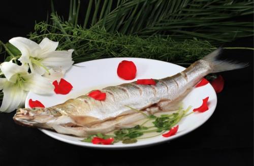 三种河鲜类特产白鱼白虾还有什么 淡水白虾最喜欢吃什么