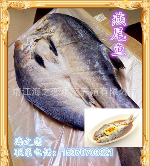 舟山特产裕舟日式烤鳗鱼 舟山东海风干鳗鱼做法