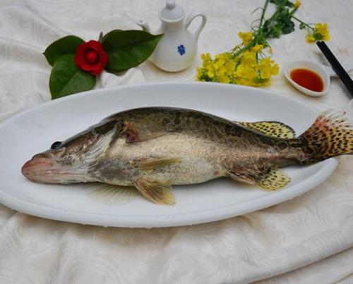 俄罗斯特产海鱼桂鱼 俄罗斯特色鱼类产品