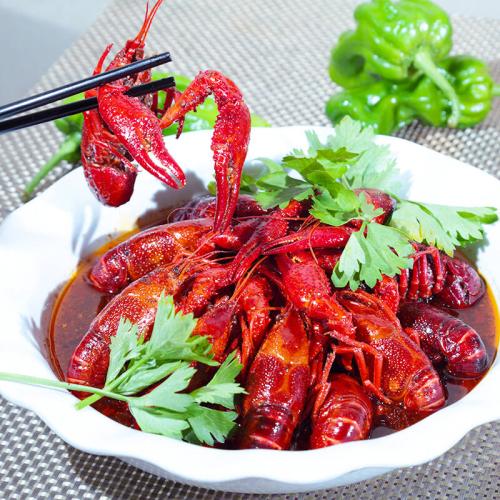 龙虾哪里特产 中国哪个省的龙虾最好