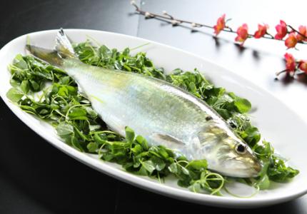 长江特产河鱼有哪些 最好吃的野生河鱼排名