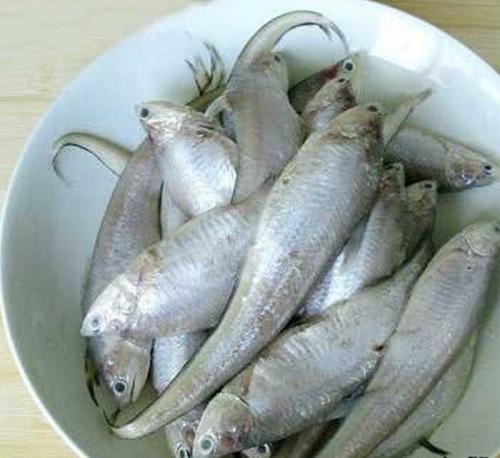 南通海边特产鱼类 江苏南通十大特产是什么