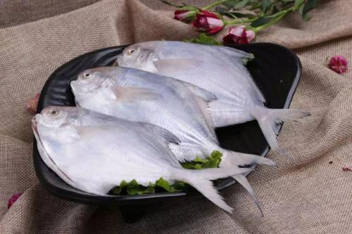 北海特产鲳鱼怎么吃 北海鲳鱼怎么吃好吃