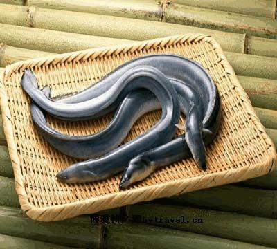 中国特产舟山眼镜蛇 舟山眼镜蛇的毒性强吗