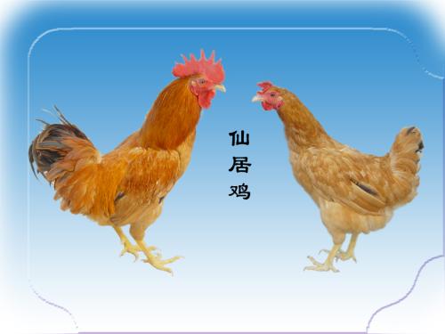 台州肉食特产 台州的零食特产有哪些