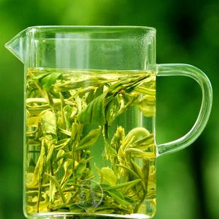 广东特产绿茶有哪些 广东产什么绿茶好