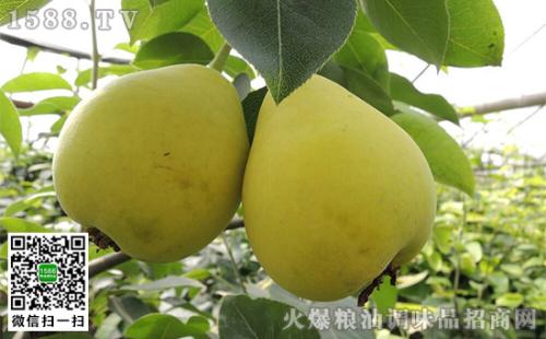浙江永康的特产是什么水果 浙江永康特产是什么最出名的